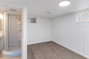 Basement bedroom with carpet