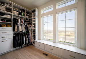 Spacious closet with light wood finished floors