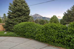 View of Mt. Olympus from the driveway
