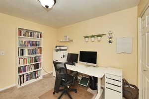 Carpeted home office with baseboards