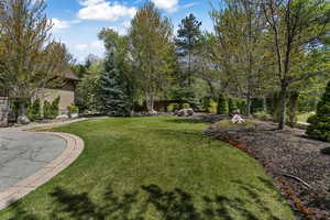 View of grassy yard