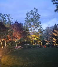 Evening Lighting