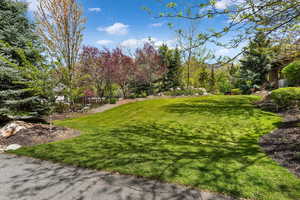 View of green lawn