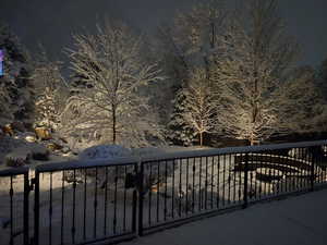 Winter wonderland
