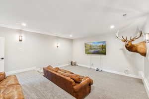 Cinema featuring carpet floors and recessed lighting