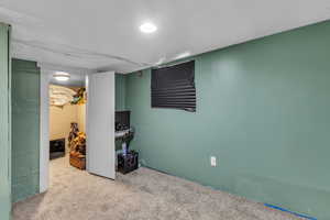 Finished below grade area with carpet flooring
