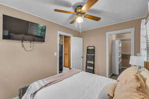 Bedroom with a spacious closet, a closet, ceiling fan, ornamental molding, and baseboards