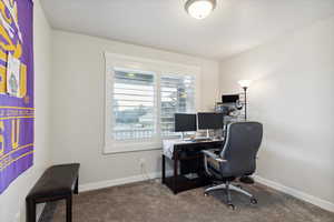 Carpeted home office with baseboards