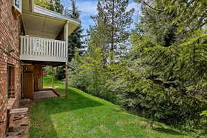 View of grassy yard