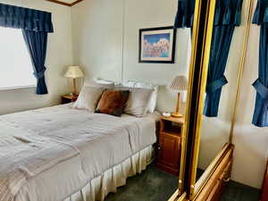 Bedroom featuring carpet floors