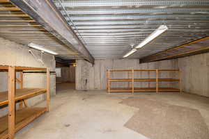 View of unfinished basement