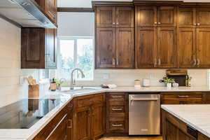 Kitchen featuring a sink, ventilation hood, and backsplash