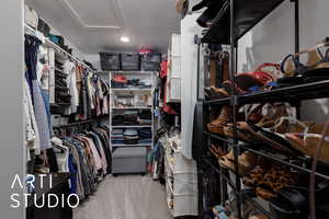 Walk in closet with attic access and carpet floors
