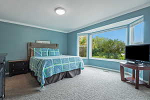 Carpeted bedroom featuring baseboards and crown molding