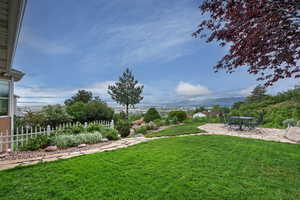 View of yard with a patio