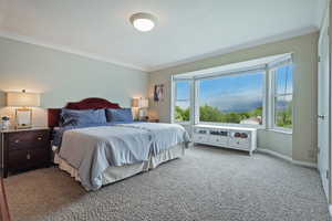 Bedroom featuring crown molding, carpet flooring, baseboards, and multiple windows