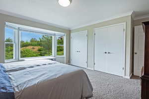 Bedroom featuring two closets, carpet flooring, crown molding, and baseboards