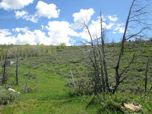 View of undeveloped land