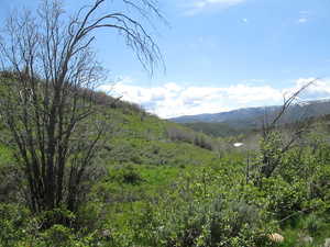 Mountain view with a forest