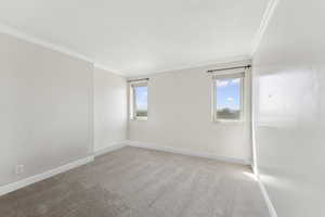 Carpeted spare room with ornamental molding and baseboards