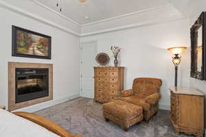 Bedroom featuring carpet floors, baseboards, a fireplace, and a raised ceiling