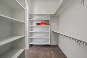 Spacious closet with dark carpet