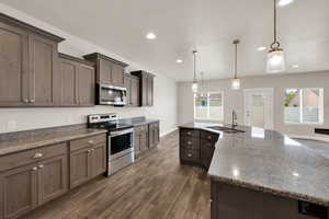 Kitchen with appliances with stainless steel finishes, a sink, dark wood-style floors, plenty of natural light, and recessed lighting