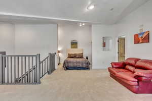 Open 25' x 23' Newly Carpeted Loft with sufficient space for a pool table.
