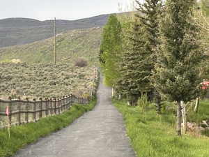 View of Crestview community featuring Park City's Trail System.
