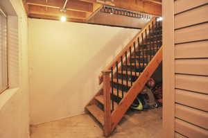 Basement entry/stairs