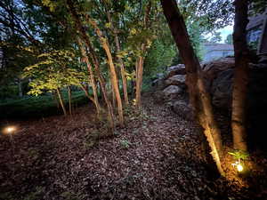 View of local wilderness