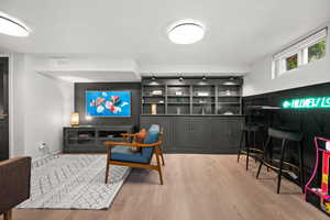 Built-Ins in Basement Living Room