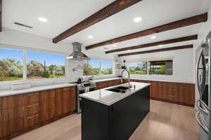 Expansive Quartz counters, and European-Style Cabinets