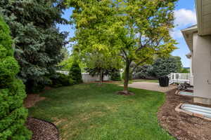 View of yard featuring a patio
