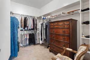 Spacious closet featuring light carpet