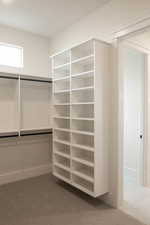 Spacious closet with carpet