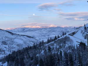 Mountain view