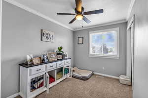 Playroom featuring ornamental molding, ceiling fan, baseboards, and carpet floors
