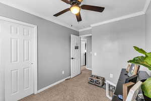 Bedroom featuring carpet flooring, crown molding, baseboards, and a ceiling fan