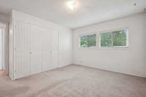 Unfurnished bedroom with carpet flooring, a closet, and a textured ceiling