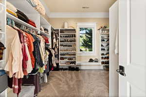 Walk in closet featuring carpet