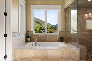 Full bath featuring a bath and a mountain view