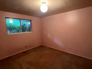 Empty room featuring a textured ceiling, carpet flooring, and baseboards