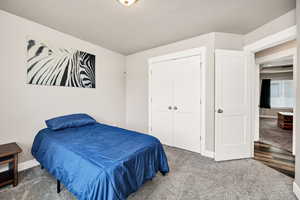 Bedroom featuring baseboards, carpet flooring, and a closet