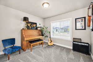 Living area featuring carpet and baseboards