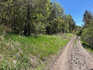 View of street with a wooded view