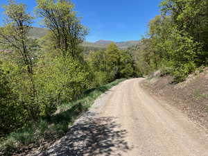 View of dirt / gravel road featuring a mountain view and a wooded view