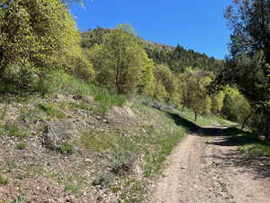 View of dirt / gravel road with a wooded view