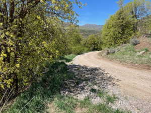 View of dirt / gravel road with a mountain view and a view of trees