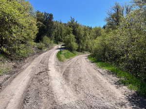 View of dirt / gravel road featuring a view of trees